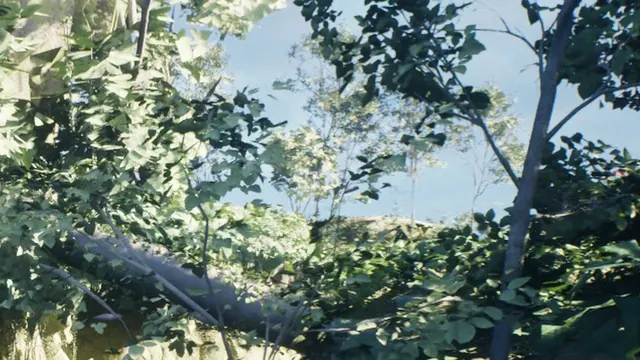 Epic's Electric Dreams sample: dense jungle with sunlight through the canopy